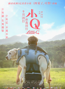 伊人网在线播放